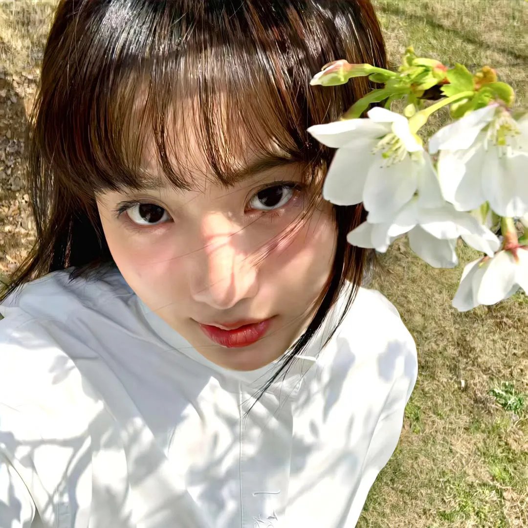 昼颜