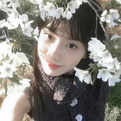百花盛放